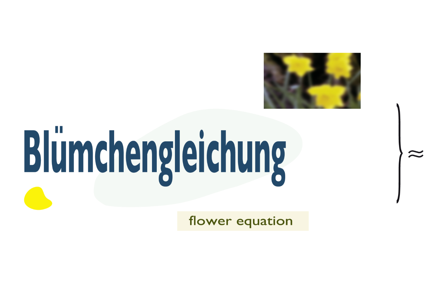 Flower Equation Slide Projection graphics 2